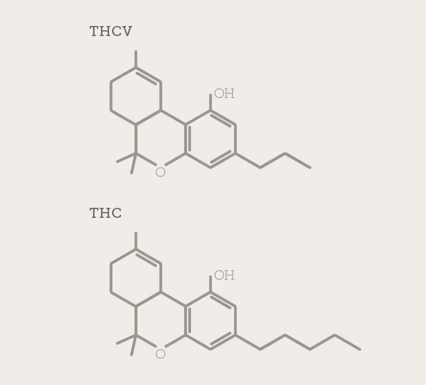 Struktura molekul THCV a THC